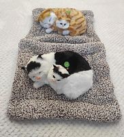 "Кошка с котенком" во Дубне